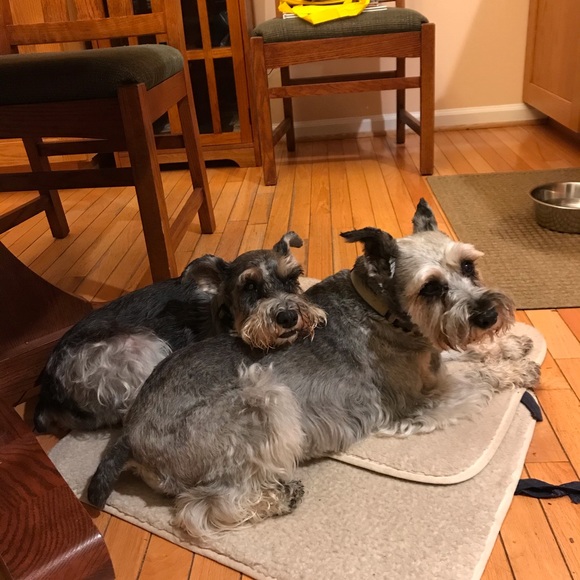 Meet your Posher, Audrey - Picture 6 of 13